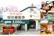 旅行 長野 信州 別所温泉 宿泊 補助券 1枚 3,000円 温泉 旅館 旅行券 宿泊券 施設利用券 利用券 トラベル チケット ホテル券 ホテルクーポン ホテル 長野県[№5312-0238]
