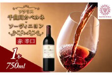 ソラリス 千曲川 カベルネ・ソーヴィニヨン ワイン 赤ワイン お酒 酒 アルコール 信州 長野 [№5312-0394]