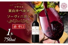 ソラリス 東山カベルネ・ソーヴィニヨン ワイン 赤ワイン 日本ワインコンクール欧州系品種赤部門銀賞受賞 お酒 酒 アルコール 信州 長野 [№5312-0396]