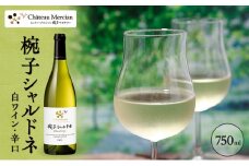 ワイン 椀子シャルドネ 750ml シャトー・メルシャン シャルドネ 白ワイン 辛口 お酒 酒 アルコール ギフト 贈り物 プレゼント　 [№5312-0407]