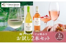 限定 ワイン 椀子ヴィンヤードを味わうお試し セット 2本 椀子シャルドネ　アンウッデッド 椀子ロゼ 750ml お酒 アルコール ギフト プレゼント [№5312-0427]