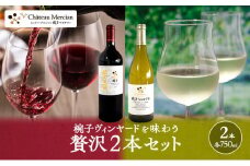 椀子ヴィンヤードを味わう贅沢2本セットワイン　ギフト　セット [№5312-0434]