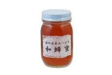 信州日本みつばち 和蜂蜜（600g） [№5312-0470]