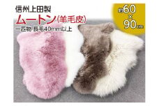 信州上田製ムートン（羊毛皮）一匹物　長毛40mm以上　【ベージュ】 [№5312-7014]0517