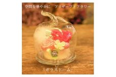 空間を華やかに　プリザーブドフラワー「ガラスドーム」　イエロー＆オレンジ系 [№5312-7149]0574