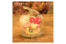 空間を華やかに　プリザーブドフラワー「ガラスドーム」　お任せ [№5312-7152]0574
