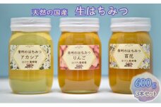 国産生はちみつ　アカシア・リンゴ・百花600g 3本セット[№5312-0599]