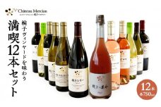 ワイン 椀子ヴィンヤードを味わう満喫 12本 セット 750ml シャトー・メルシャン 赤ワイン フルボディ 白ワイン 辛口 お酒 酒 アルコール 飲み比べセット ギフト 贈り物 プレゼント[№5312-0606]