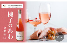 スパークリングワイン 椀子のあわ ロゼ 辛口 750ml ギフト シャトーメルシャン椀子ワイナリー シャトーメルシャン ワイン お酒 酒 アルコール 家飲み 宅飲み お祝い 記念日 贈り物 プレゼント 信州 長野 長野県 上田市 [№5312-0679]