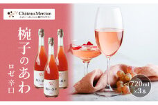 スパークリングワイン 椀子のあわ ロゼ 辛口 750ml 3本 セット ギフト シャトーメルシャン椀子ワイナリー シャトーメルシャン ワイン お酒 酒 アルコール 家飲み 宅飲み お祝い 記念日 贈り物 プレゼント 信州 長野 長野県 上田市 [№5312-0680]