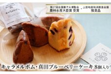 キャラメルポム・真田ブルーベリーケーキ 計8個入り[№5312-0755]