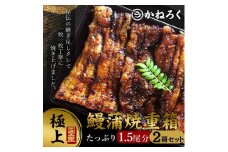 鰻蒲焼重箱「極上」2個セット 山椒・漬物付き　ギフト ウナギ 鰻 蒲焼 国産 国内産 プレゼント 誕生日 お歳暮 上田市 コシヒカリ グルメ 贅沢 [№5312-0779]