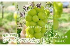 訳あり シャインマスカット 2kg前後 4房前後 ぶどう 葡萄 ブドウ マスカット 2kg 果物 くだもの フルーツ デザート 旬の果物 旬のフルーツ 訳アリ 長野県 長野 [№5312-0812]