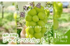 訳あり シャインマスカット 1kg前後 2～3房 ぶどう 葡萄 ブドウ マスカット 1kg 果物 くだもの フルーツ デザート 旬の果物 旬のフルーツ 訳アリ 長野県 長野 [№5312-0811]