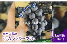 訳あり ナガノパープル 1kg前後 2～3房 ぶどう 葡萄 ブドウ 長野パープル 1kg 果物 くだもの フルーツ デザート 大粒 旬の果物 旬のフルーツ 訳アリ 長野県 長野 [№5312-0813]