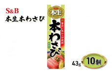 S&B 本生 本わさび 43g 10個 エスビー食品 エスビー 無着色 わさび ワサビ 山葵 wasabi チューブ 調味料 信州 長野 長野県 上田市 [№5312-0817]