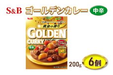 エスビー食品 S＆B ゴールデンカレーレトルト 中辛 1セット（6個）[№5312-0835]