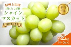 2025年先行予約 シャインマスカット 信州上田産金剛寺ぶどう 約2kg 4～5房 ぶどう 葡萄 ブドウ マスカット 2kg 果物 くだもの フルーツ デザート 旬の果物 旬のフルーツ 長野県 長野 金剛寺ぶどう [№5312-0945]