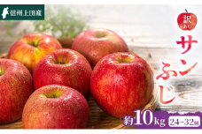 りんご 信州上田産 サンふじ 家庭用 約10kg 24～32個 林檎 リンゴ 10kg サンフジ 果物 くだもの フルーツ デザート 旬の果物 旬のフルーツ 傷 長野県 長野 [№5312-0960]