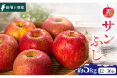りんご 信州上田産 サンふじ 家庭用 約5kg 12～16個 林檎 リンゴ 5kg サンフジ 果物 くだもの フルーツ デザート 旬の果物 旬のフルーツ 傷 長野県 長野 [№5312-0959]