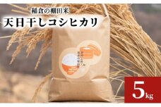 稲倉の棚田米　天日干しコシヒカリ5kg [№5312-0985]