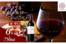 ソラリス 東山メルロー 6本セット ワイン 赤ワイン 受賞歴多数あり お酒 酒 アルコール 信州 長野[№5312-1008]