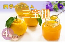 ジャム 長野 四季のジャム 三宝柑 4個 セット 飯島商店 みかんジャム みかん 柑橘 朝ごはん 朝食 パン フルーツ 果物 デザート スイーツ ギフト プレゼント 贈答 贈り物 調味料 加工食品 ミカンジャム ミカン 蜜柑 長野県 上田市 上田 [№5312-1021]