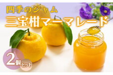 ジャム 長野 四季のジャム 三宝柑 マーマレード 2個 セット 飯島商店 スライスした皮入り みかんジャム みかん 柑橘 朝ごはん 朝食 パン フルーツ 果物 デザート スイーツ ギフト プレゼント 贈答 贈り物 調味料 長野県 上田市 上田 [№5312-1022]