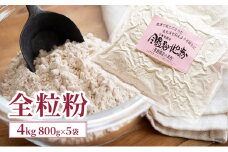 全粒粉 4kg (800g×5袋) 国産 信州産 大容量 小麦 粉 お菓子作り パン作り パスタ 料理 生地 食物繊維 ビタミン ミネラル 健康 健康食品 信州 長野 長野県 上田市 [№5312-1047]
