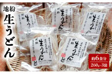 地粉 生うどん 6食分 (260g×3袋) 国産 信州産 生麺 信州うどん うどん 小麦粉 麺類 お中元 信州 長野 長野県 上田市 [№5312-1054]