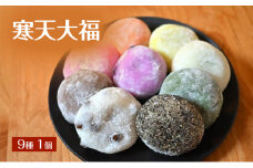 寒天大福 9種1個 詰め合わせ セット 大福 餅 大福餅 菓子 和菓子 冷凍 長野 [№5312-1098]