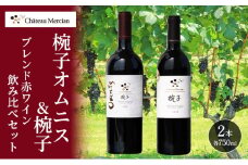 赤ワイン 飲み比べセット 750ml 2本セット 椀子オムニス 椀子 ギフト シャトーメルシャン椀子ワイナリー シャトーメルシャン ワイン お酒 酒 アルコール 家飲み 宅飲み お祝い 記念日 飲み比べ セット 贈り物 プレゼント 信州 長野 長野県 上田市 [№5312-1116]