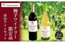 ワイン 飲み比べセット 750ml 2本セット 赤ワイン 白ワイン 赤白セット ギフト シャトーメルシャン椀子ワイナリー シャトーメルシャン ワイン お酒 酒 アルコール 宅飲み お祝い 記念日 飲み比べ セット 贈り物 プレゼント 信州 長野 長野県 上田市 [№5312-1118]