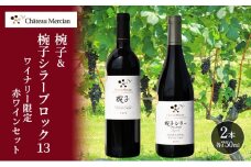 限定 赤ワイン 飲み比べセット 750ml 2本 セット 椀子 椀子シラー ギフト シャトーメルシャン椀子ワイナリー シャトーメルシャン ワイン お酒 酒 アルコール 家飲み 宅飲み お祝い 記念日 飲み比べ 贈り物 プレゼント 信州 長野 長野県 上田市 [№5312-1119]