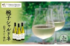 ワイン 椀子シャルドネ 750ml 3本 シャトー・メルシャン シャルドネ 白ワイン 辛口 お酒 酒 アルコール ギフト 贈り物 プレゼント	 [№5312-1141]