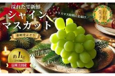 2025年先行予約　クリスマスにお届け！ シャインマスカット 信州上田産金剛寺ぶどう 約1kg 2～3房 ぶどう 葡萄 ブドウ マスカット 1kg 果物 くだもの フルーツ デザート 旬の果物 旬のフルーツ 長野県 長野 [№5312-1323]
