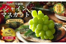 2025年先行予約　クリスマスにお届け！ シャインマスカット 信州上田産金剛寺ぶどう 約2kg 4～5房 ぶどう 葡萄 ブドウ マスカット 2kg 果物 くだもの フルーツ デザート 旬の果物 旬のフルーツ 長野県 長野 金剛寺ぶどう [№5312-1324]