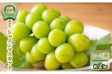 【信州上田産】 ぶどう シャインマスカット 4～5房 約2kg 葡萄 ブドウ マスカット 2kg 果物 くだもの フルーツ デザート 旬の果物 旬のフルーツ 長野県 長野[№5312-1354]