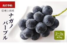 ナガノパープル 信州上田産 約1kg 2～3房 ぶどう ブドウ 葡萄 ナガノパープル 1kg 種なし 果物 くだもの フルーツ デザート 旬の果物 旬のフルーツ 長野県 長野 上田市[№5312-1363]