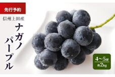 ナガノパープル 信州上田産 約2kg 4～5房 ぶどう ブドウ 葡萄 ナガノパープル 2kg 種なし 果物 くだもの フルーツ デザート 旬の果物 旬のフルーツ 長野県 長野 上田市[№5312-1364]