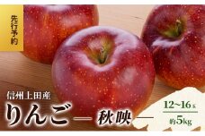 りんご 信州上田産 秋映 家庭用 約5kg 12～16玉 リンゴ 林檎 5kg 果物 くだもの フルーツ デザート 旬の果物 旬のフルーツ 傷 長野県 長野 上田市[№5312-1368]