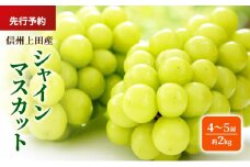 シャインマスカット 信州上田産 約2kg 4～5房 ぶどう ブドウ 葡萄 マスカット 2kg 果物 くだもの フルーツ デザート 旬の果物 旬のフルーツ 長野県 長野 上田市[№5312-1366]