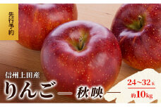 りんご 信州上田産 秋映 家庭用 約10kg 24～32玉 リンゴ 林檎 10kg 果物 くだもの フルーツ デザート 旬の果物 旬のフルーツ 傷 長野県 長野 上田市[№5312-1369]