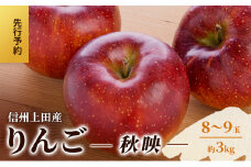 りんご 信州上田産 秋映 家庭用 約3kg 8～9玉 リンゴ 林檎 3kg 果物 くだもの フルーツ デザート 旬の果物 旬のフルーツ 傷 長野県 長野 上田市[№5312-1367]
