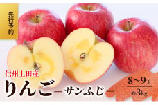 りんご 信州上田産 サンふじ 家庭用 約3kg 8～9玉 リンゴ 林檎 3kg サンフジ 果物 くだもの フルーツ デザート 旬の果物 旬のフルーツ 傷 長野県 長野 上田市[№5312-1370]
