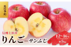 りんご 信州上田産 サンふじ 家庭用 約5kg 12～16玉 リンゴ 林檎 5kg サンフジ 果物 くだもの フルーツ デザート 旬の果物 旬のフルーツ 傷 長野県 長野 上田市[№5312-1371]