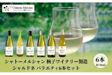 シャトー・メルシャン 椀子ワイナリー製造 シャルドネ バラエティ6本セット ワイン 白ワイン お酒 酒 アルコール 長野 長野県 上田市[№5312-1347]