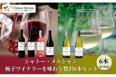 シャトー・メルシャン 椀子ワイナリーを味わう6本セット ワイン 赤ワイン 白ワイン ロゼワイン お酒 酒 アルコール 長野 長野県 上田市[№5312-1346]
