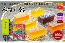 みすゞ飴箱入　中　銘菓 林檎 ゼリー 和菓子 お菓子 菓子 スイーツ りんご 長野 信州[№5312-1373]