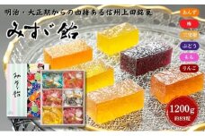 みすゞ飴箱入　大　銘菓 林檎 ゼリー 和菓子 お菓子 菓子 スイーツ りんご 長野 信州[№5312-1375]